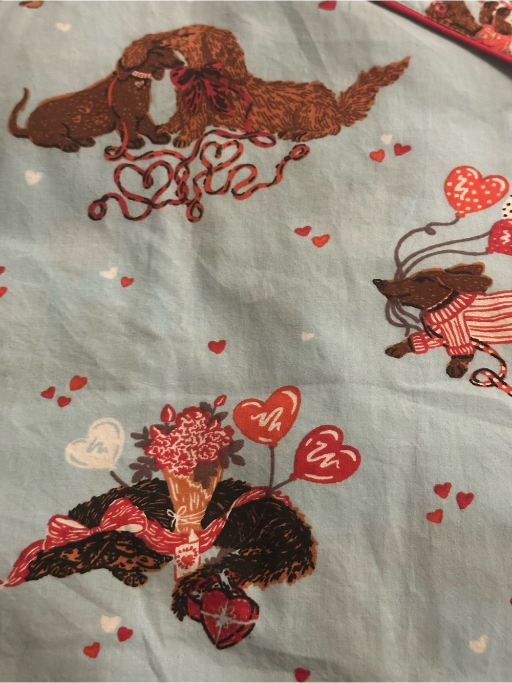 Printfresh 100% Organic Cotton Long PJ Set in Dachshund Date in pale blue - Picture 13 of 15